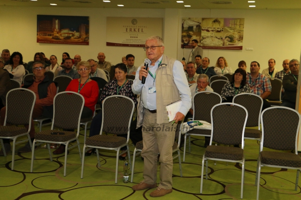 Konferencia Gyulán