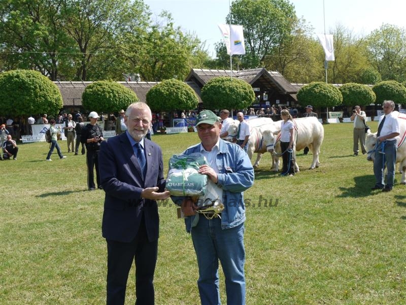 Hódmezõvásárhely 2009